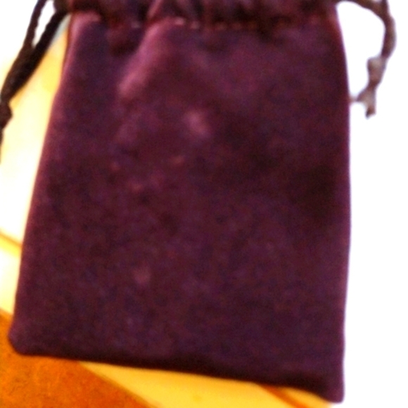 Authentic Poche by LOUIS VUITTON R20503 - Picture 12 of 12